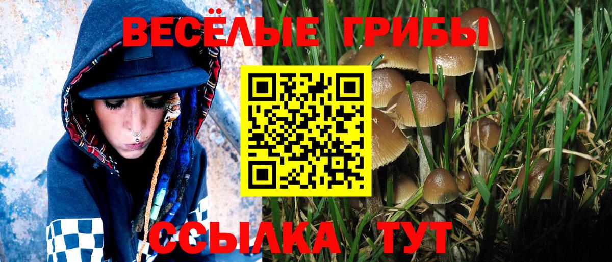Галлюциногенные грибы MAGIC MUSHROOMS  Вход с VPN  Курчатов 